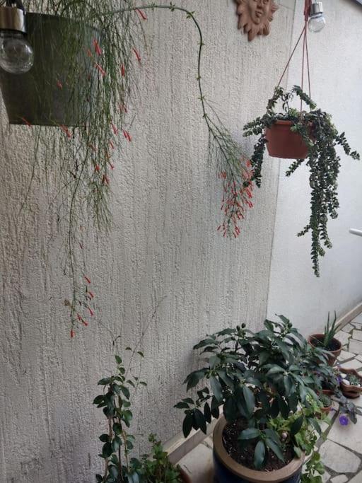 Guest House More غييكا المظهر الخارجي الصورة
